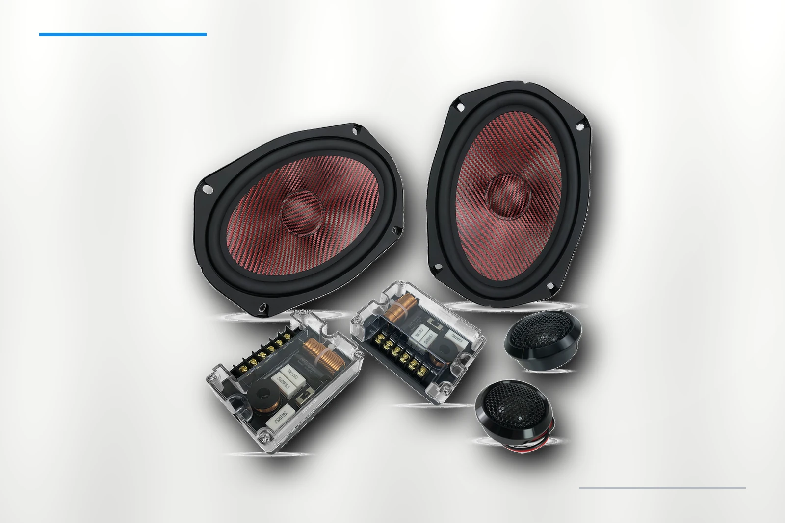 ZM-C69CR woofer detail on platinum background