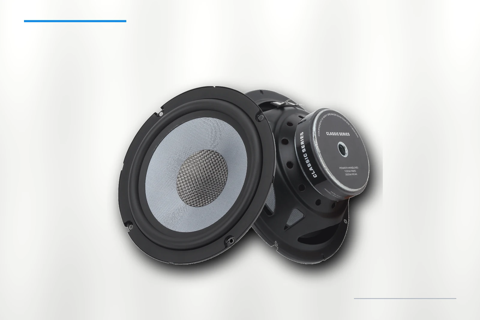 ZM-E65G woofer detail on platinum background