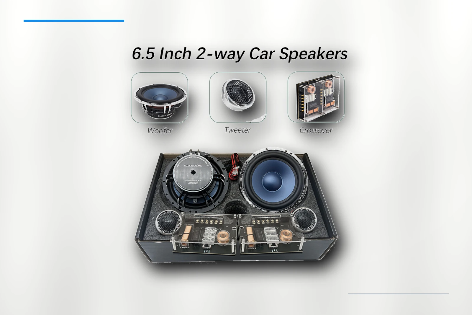 ZM-M65P woofer detail on platinum background