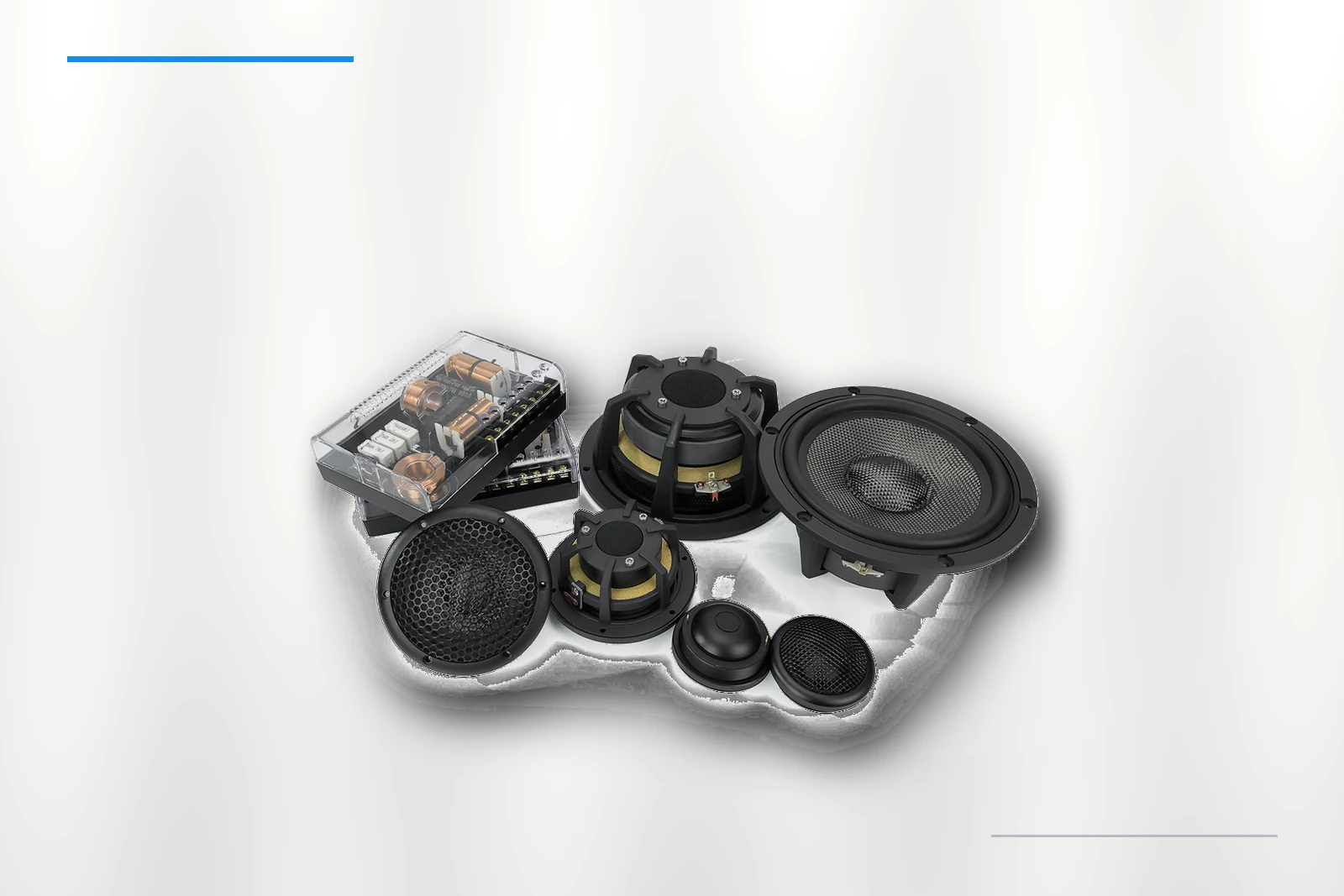 ZM-X65C-3W woofer detail on platinum background