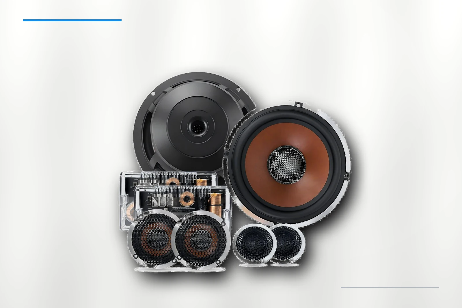 ZM-X65W-3W V2 woofer detail on platinum background
