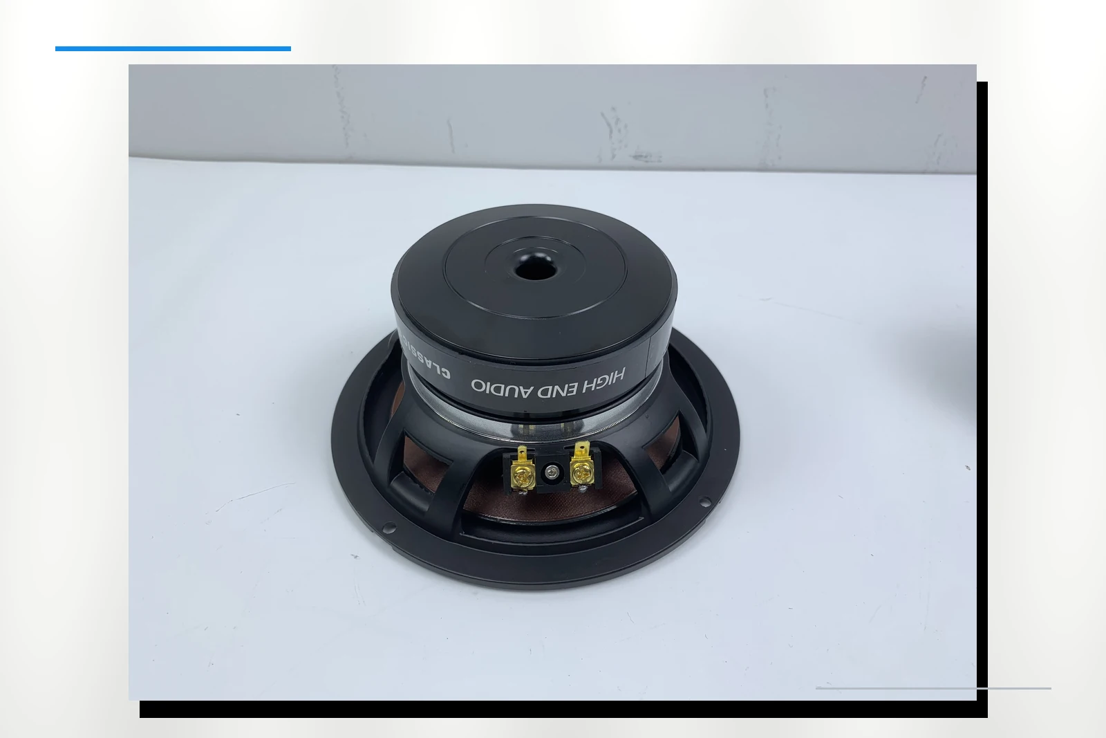 ZM-X65W-3W V2 midrange detail on platinum background