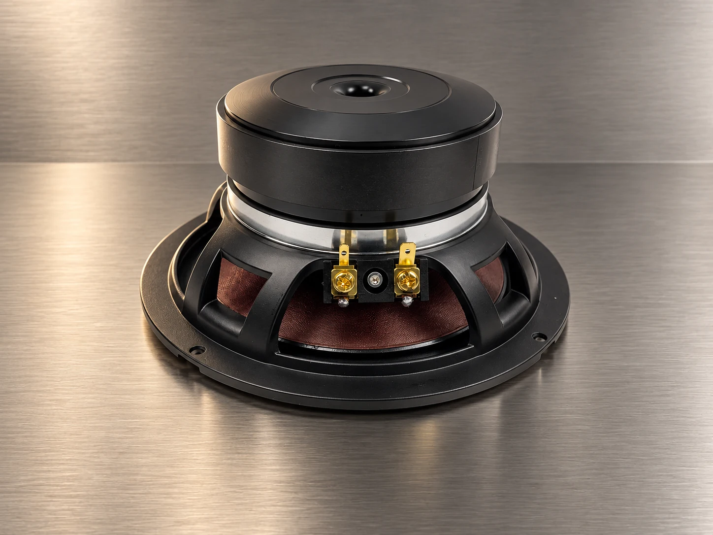 ZM-X65W V2 6.5-inch woofer, rear terminal detail